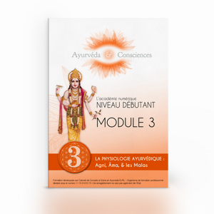 Module 3 : Agni, Ama & les Malas