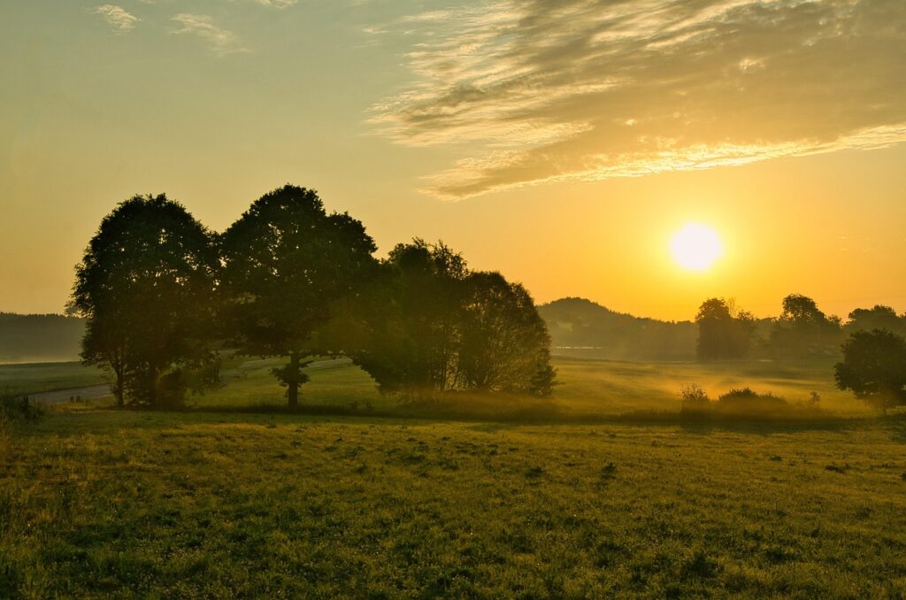 Comment gérer le stress grâce à l’Ayurvéda