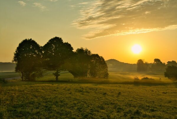 Comment gérer le stress grâce à l’Ayurvéda